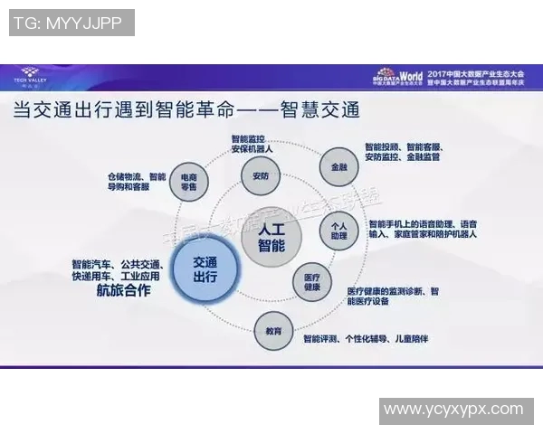 人工智能：推动智慧交通发展_17193